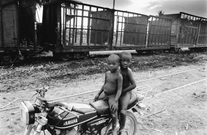 Dominican Republic - Sugar Cane Harvest - Batey 8